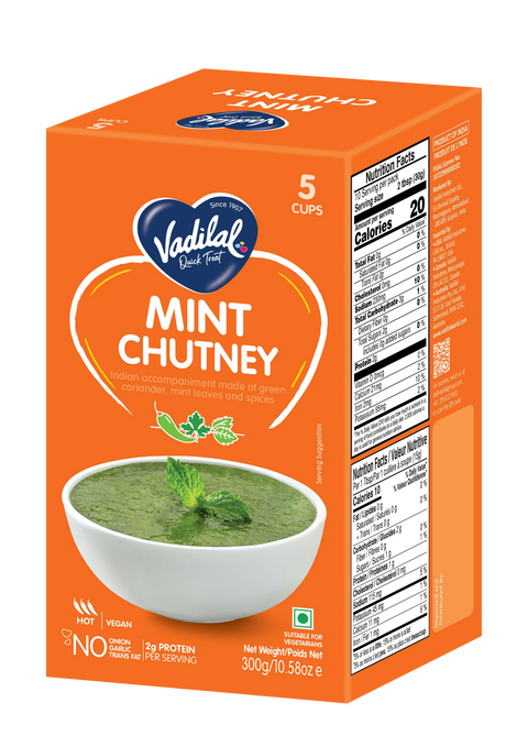 Vadilal Frozen Mint Chutney 300g