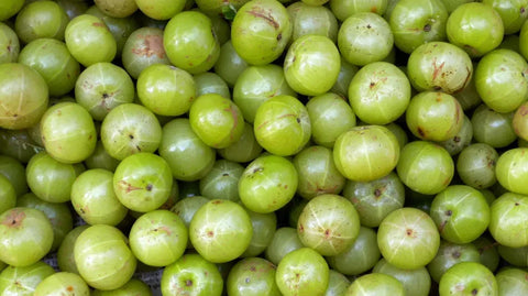 Aaryas Gooseberry Frozen 400g